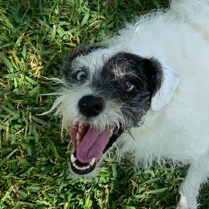 C368c5c5 b242 4654 b81a b3104986db5c 1588459098687