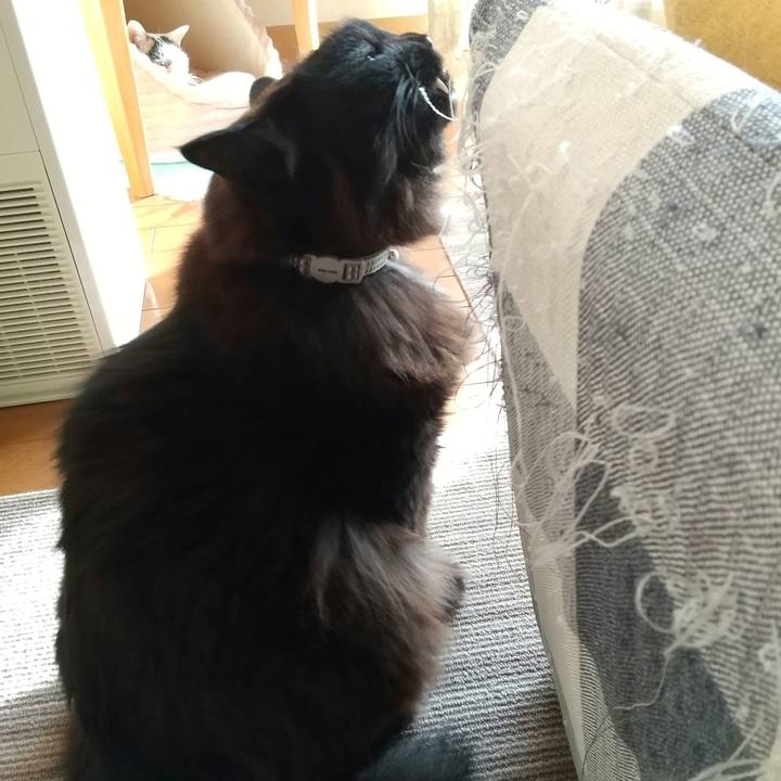 C368cccf a737 4dc4 aa1f ee79266e6a75 1644822254814