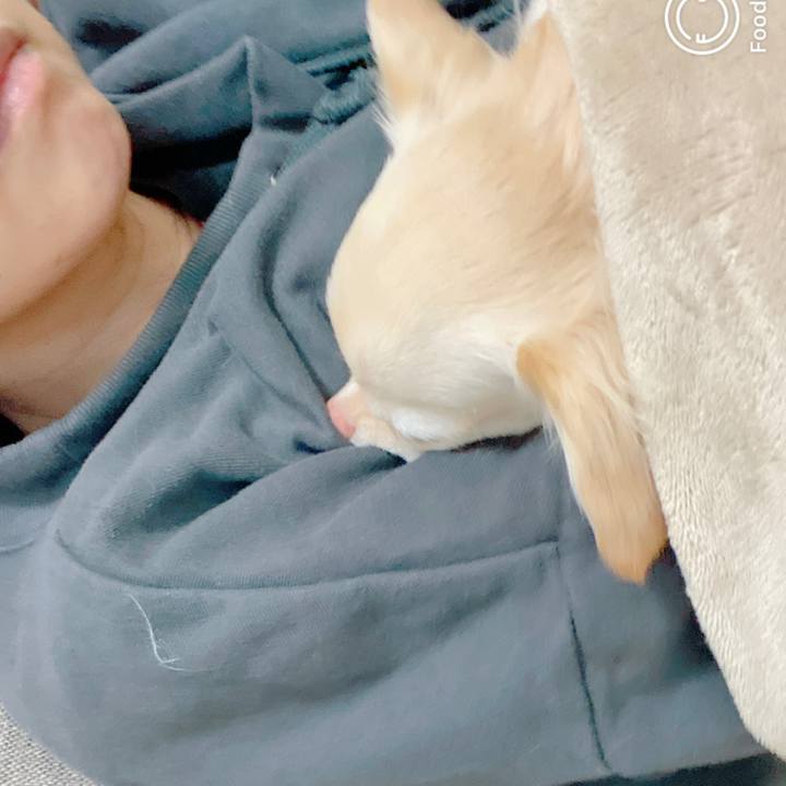 C368f4a7 c271 4e60 bd42 0db34439bdf9 1640775506700