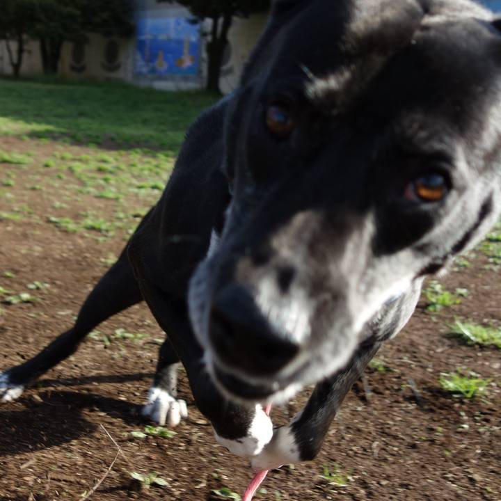 C368fe4f 1530 4bb5 91a0 cff0a04ec741 1712026072420