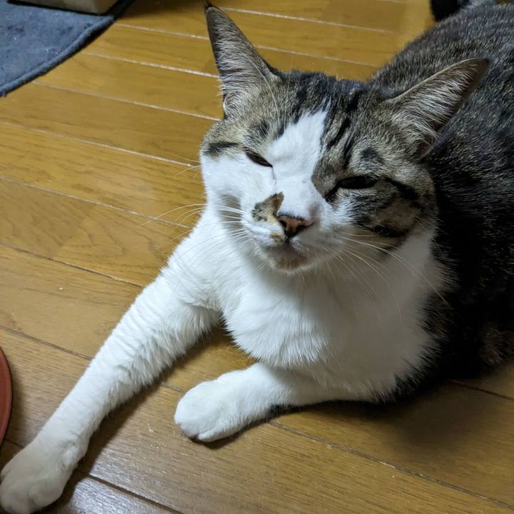 C369122e cccb 4d8f b34f 5b84c0ec1f56 1675808948040