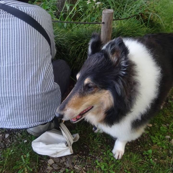 C3691926 02cf 48ae 8aa2 0f981a899228 1590240344971