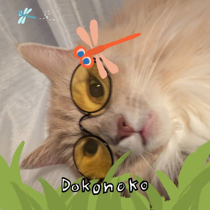 C3692ab0 5256 4f3f 8c10 d5288fb05cc5 1726813936324