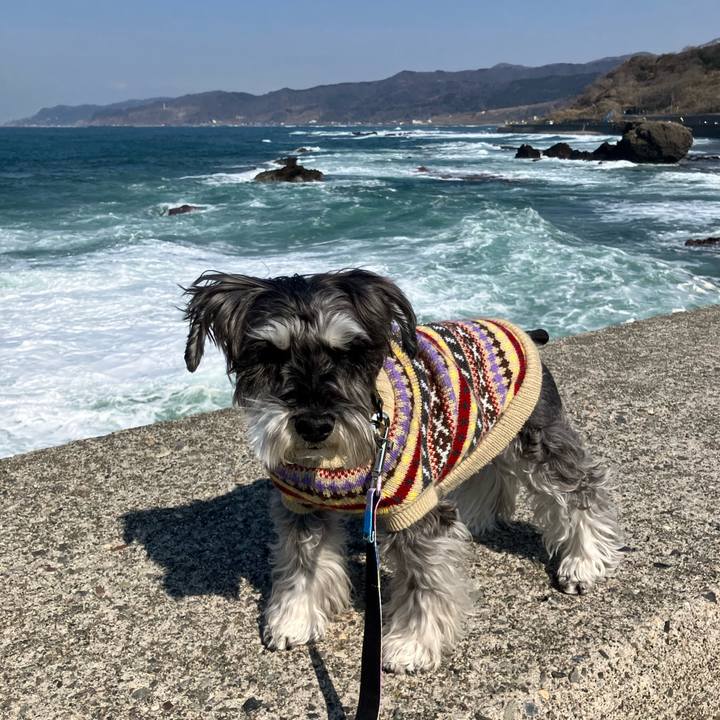 C369599f 9b33 4bc0 9652 82f4c408feb5 1774181764725