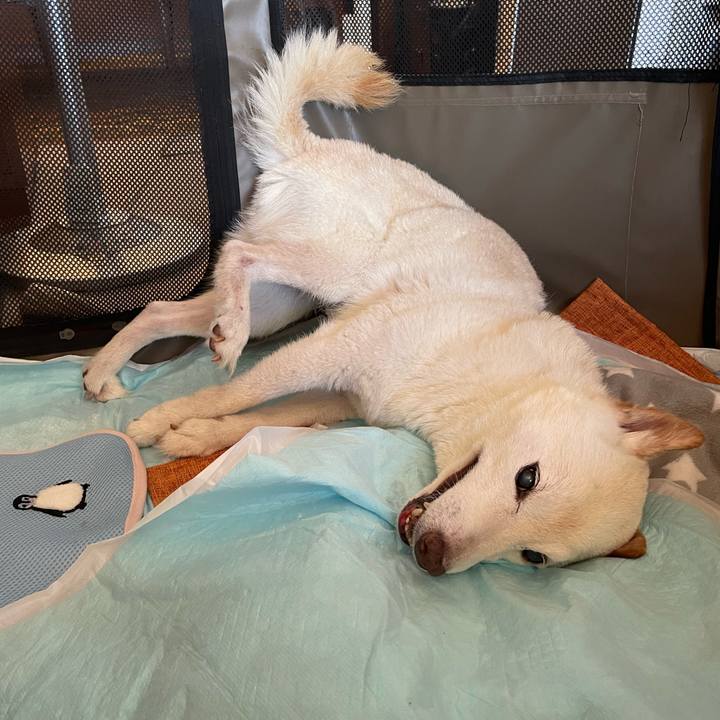 C3696768 e3ad 4128 a026 3e350f9db4b9 1665887449363