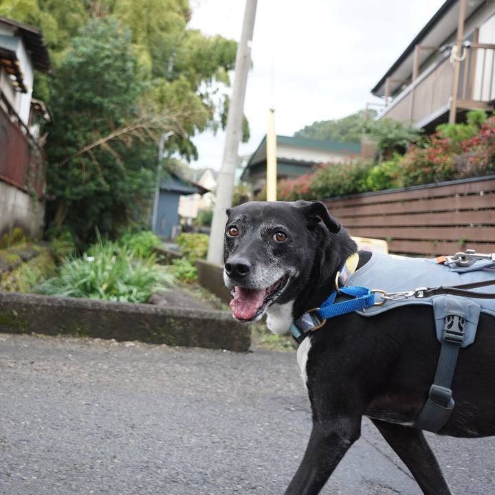 C36979f4 4ea7 4512 9b9f 92e901c3d009 1761525849024