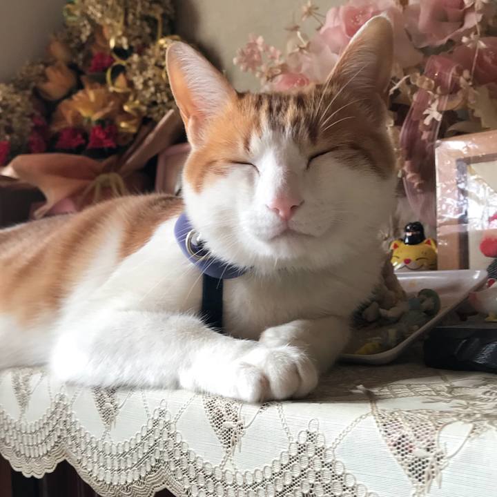 C369965d 028a 42ab 97ad a40c8a542b6c 1515896455269