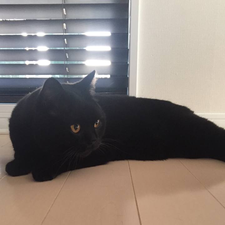 C369bce2 305e 4446 9b3e 52b08f04a161 1552000047975