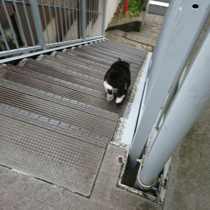 C369bd28 3b3e 4773 8fab 67554197c112 1560999629656