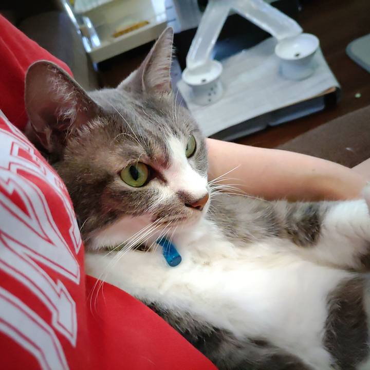 C369d190 d3be 4436 856f 1d9ff7ec6d4c 1693118590727