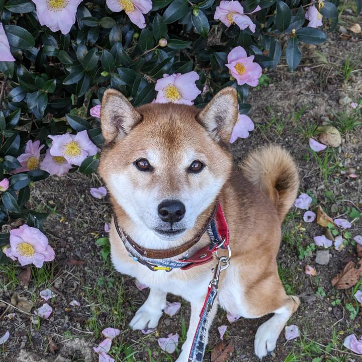 C369d3f4 8c3e 468e ab51 ae04bc97e794 1700058798775