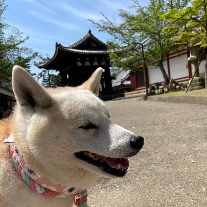 C369d978 d9e5 482e 8d1d ec2c16132e77 1650094928456