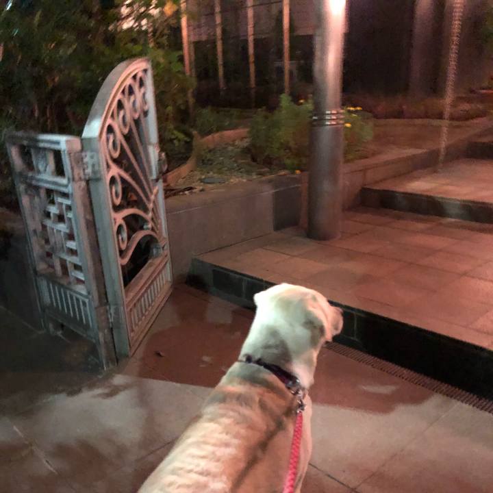 C369e3f6 f70a 4e39 9fdd ea07b1890684 1602668557990