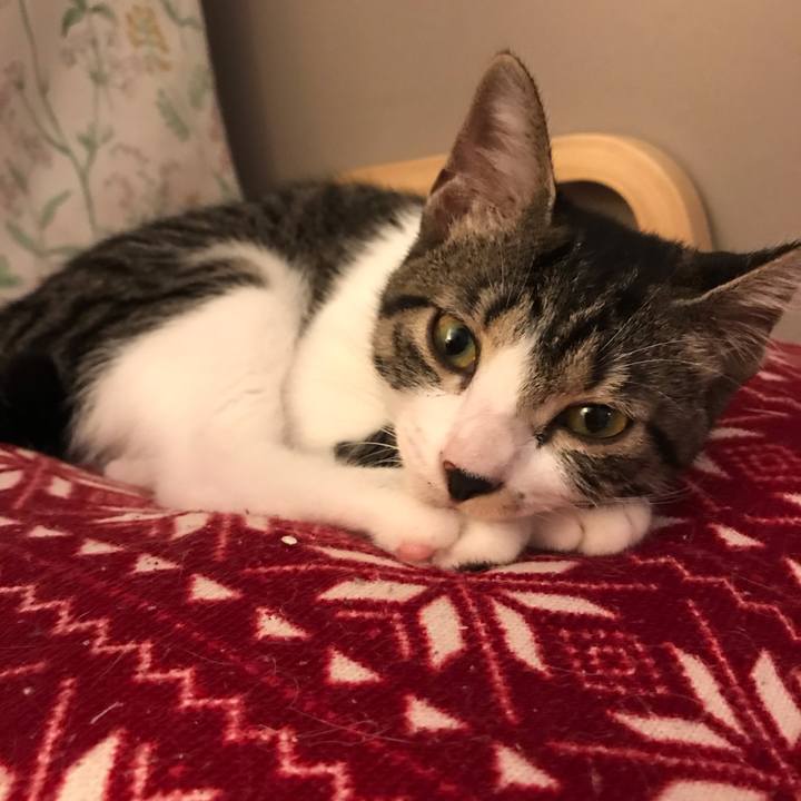 C369f10e abd4 497b 8123 cb98d9bd3397 1599302662015