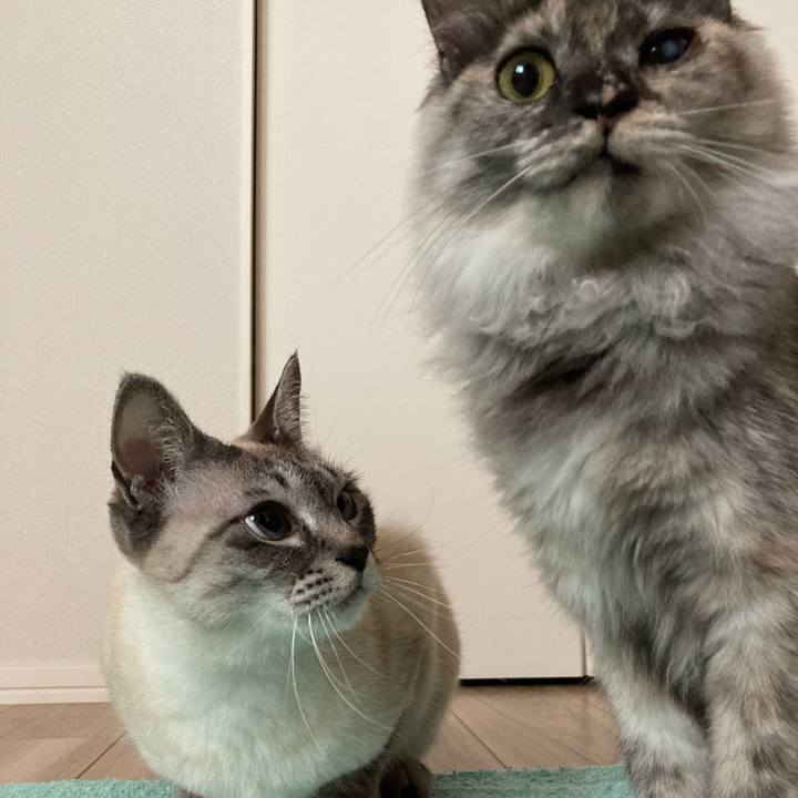 C369f394 59e6 42ee 8af6 eff8900e95ec 1708558032933