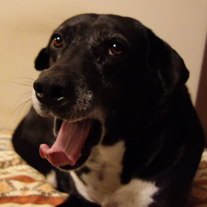 C36a21e8 b895 4929 a183 24e614da59e0 1744124639274