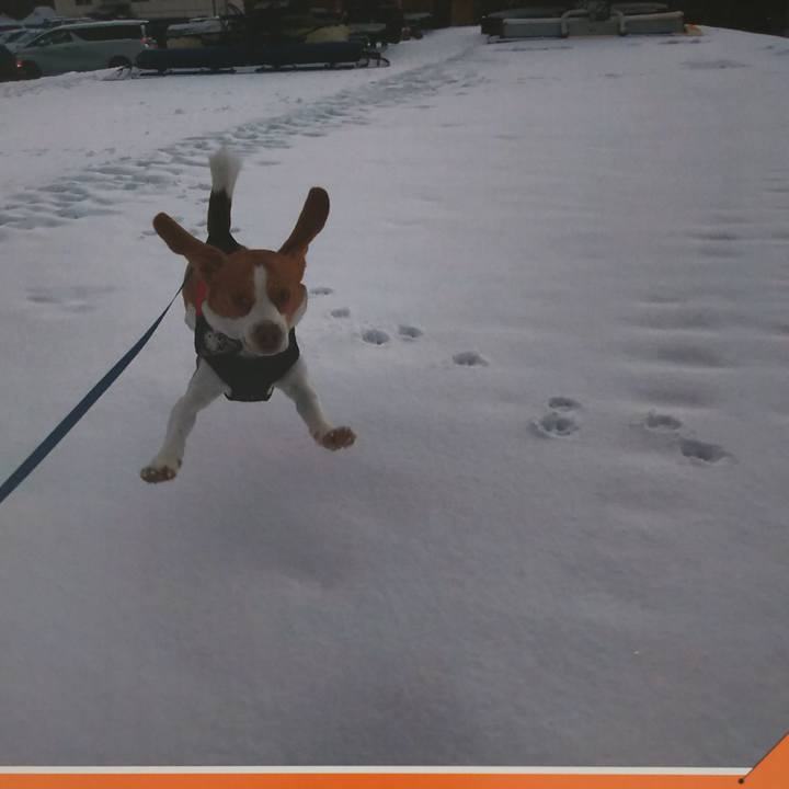 C36a2c70 d69c 42b5 bec1 69d381aa59ca 1546657093691