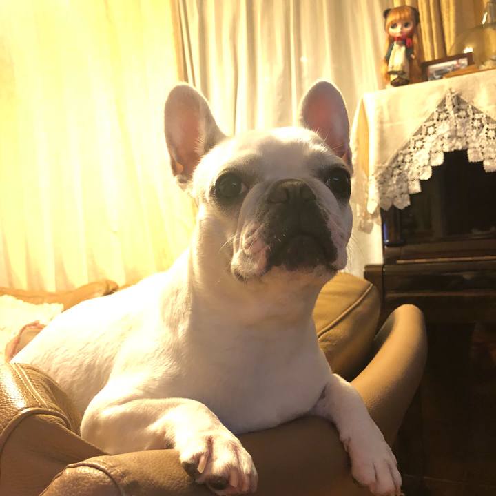 C36a397b cc47 4b9b 8ea4 721b3b11ac9d 1537971940950