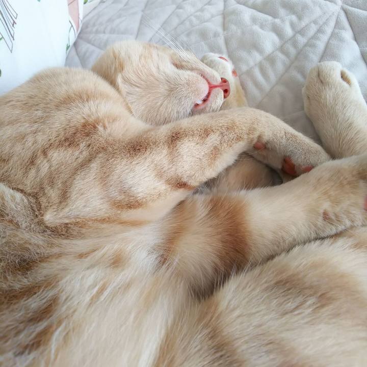 C36a9206 73f5 413b 9543 17573f7f38cf 1566270702351