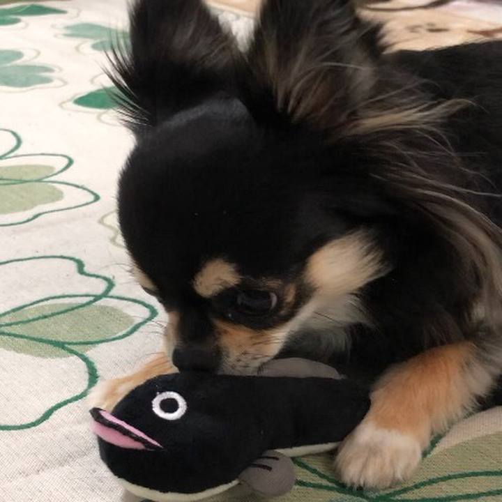 C36a99d0 7f9d 42a2 b247 8c29c0d35f03 1580682157743