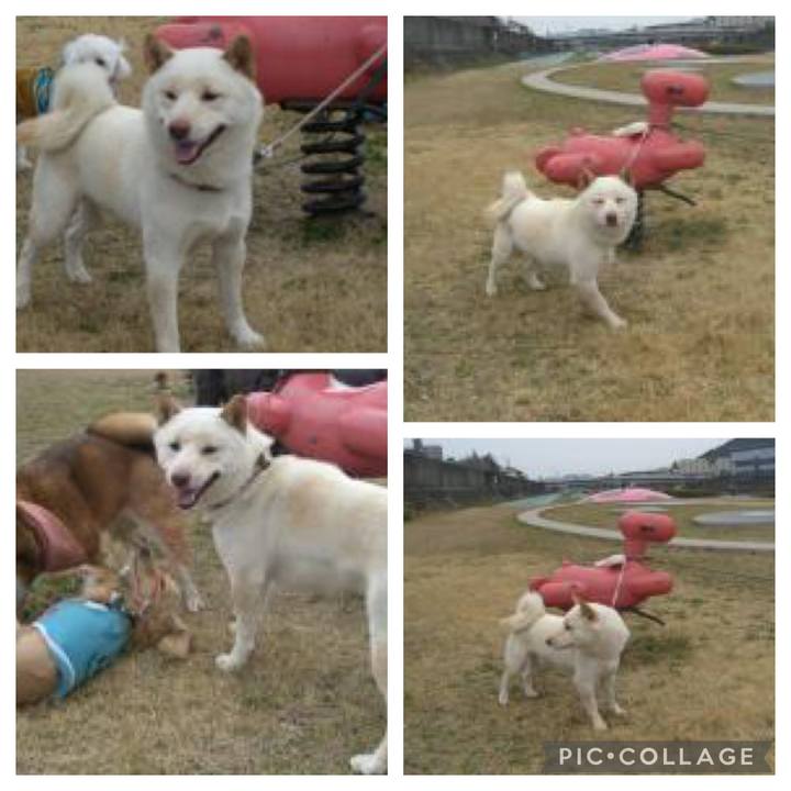 C36ade93 ad4f 4ff1 ae3c 0680b7fd3628 1648614873421