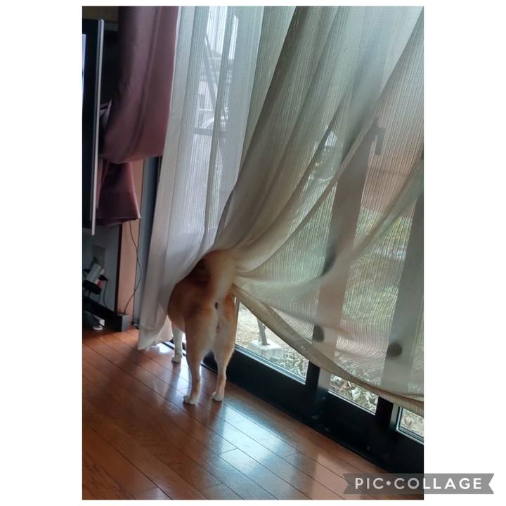 C36ae153 e821 4349 bf71 a7fcc490398f 1760235244420