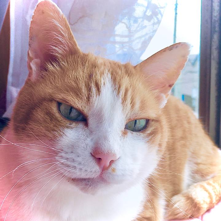 C36af377 fbf7 4cfd b62b 3de7f03c341b 1588235888705