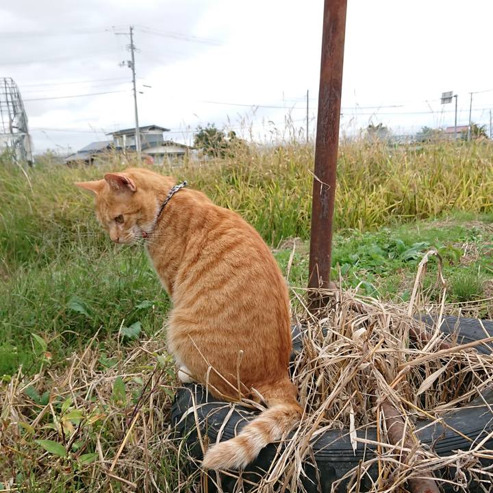 C36b2963 5bc3 4bde 8d1a 606938810cf7 1569734511170