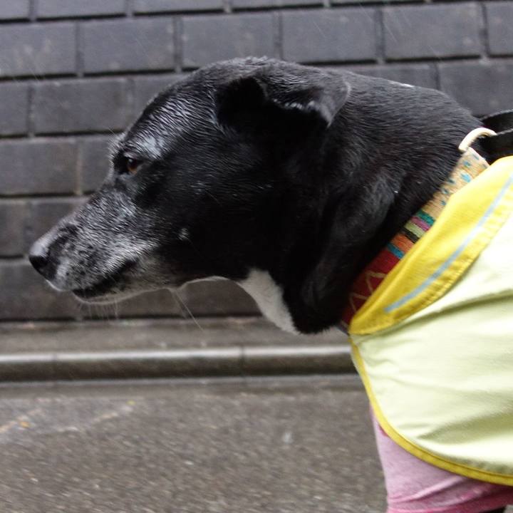 C36b3f97 c7be 41a1 9a12 3411b76bbc76 1742084216967