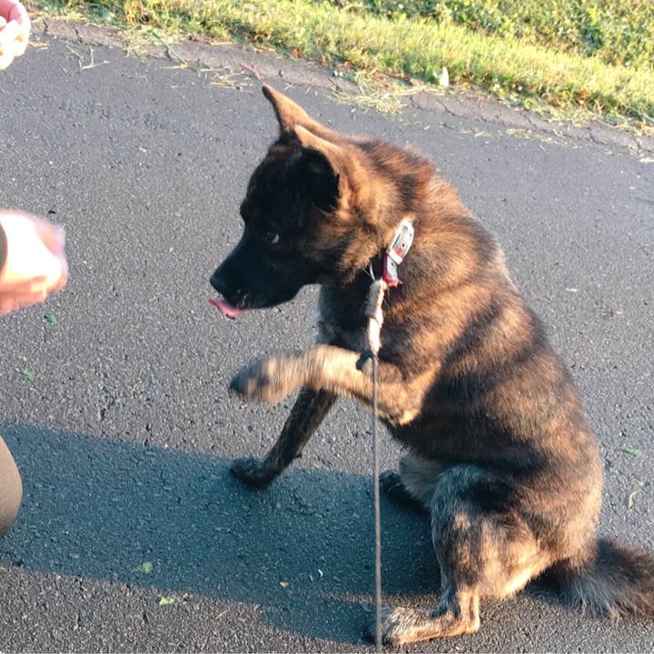 C36b6131 dd03 4575 8100 d4840bc51d07 1508816947385