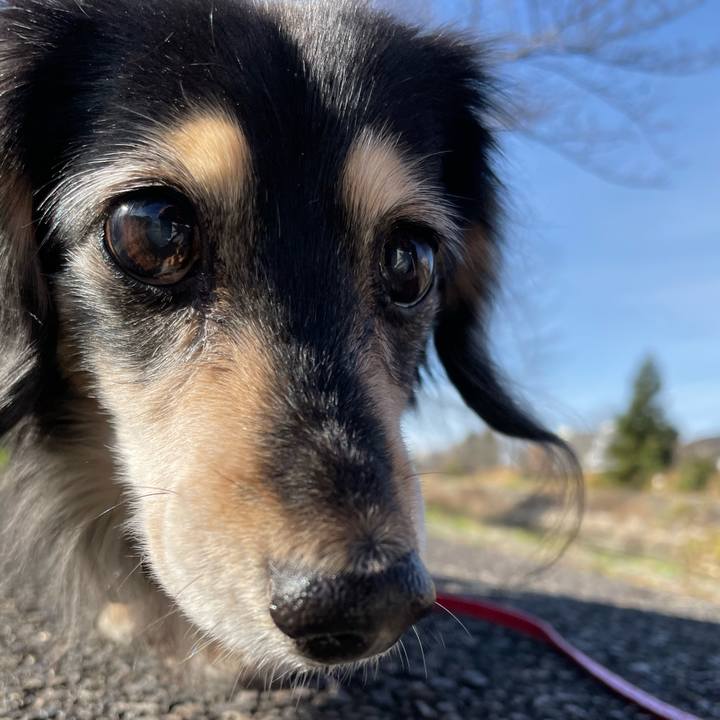 C36b6f29 5a6a 4d3d 9e9c d1ade32994ce 1702968914465