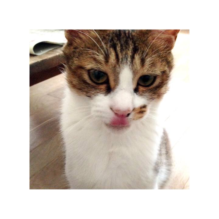 C36b75fa bb84 4e39 b1d9 a0c05f1b2be4 1609397198088