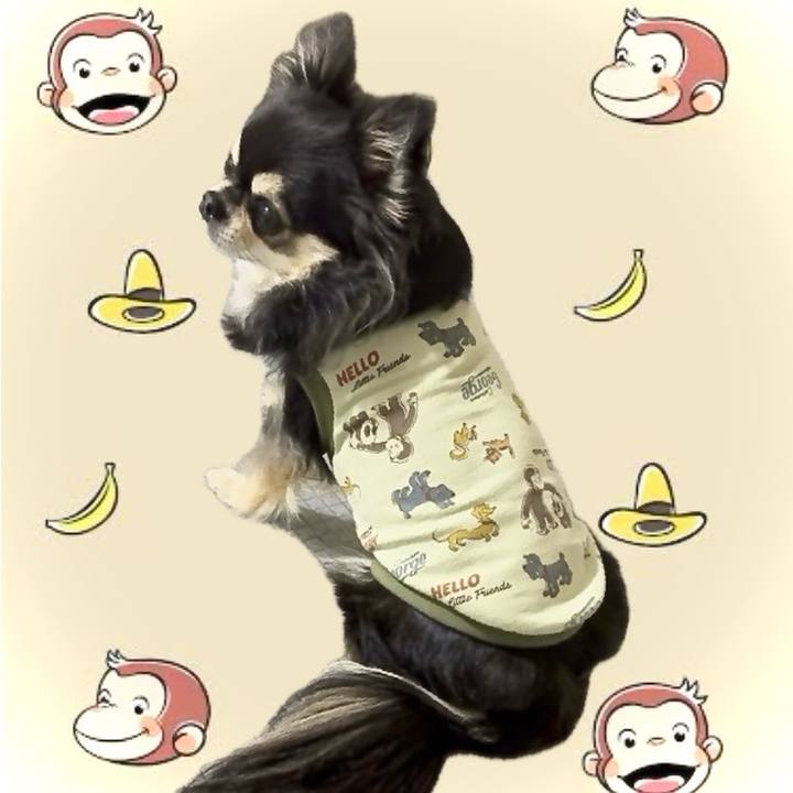 C36b82a7 1769 48b9 b9c3 8a5578c855ed 1742213634339