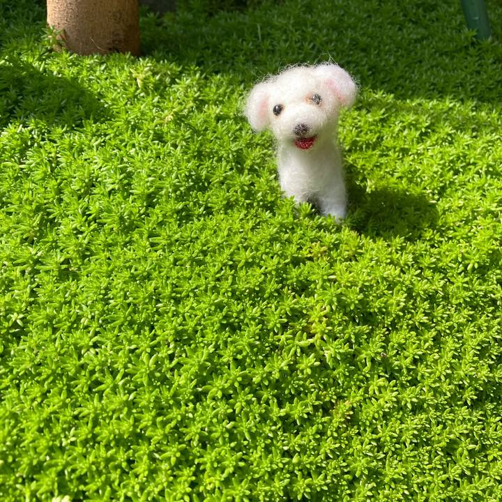 C36bd029 e4eb 41de a668 0954810c532c 1684200888001