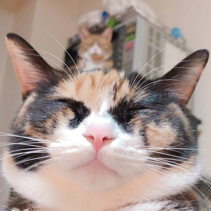 C36bed33 4dac 4fe8 8985 3be603c341a0 1582081367274