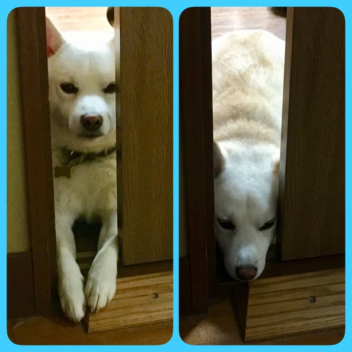 C36bf3f5 237d 4386 bdc3 1ad873206d5b 1528252766687