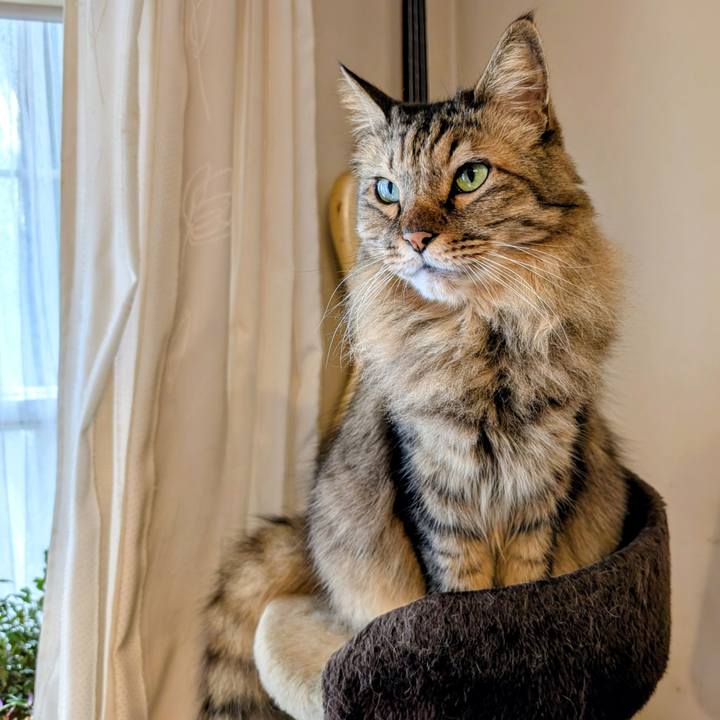 C36c3034 c658 430e bb3c 85427db6abd9 1762042335916