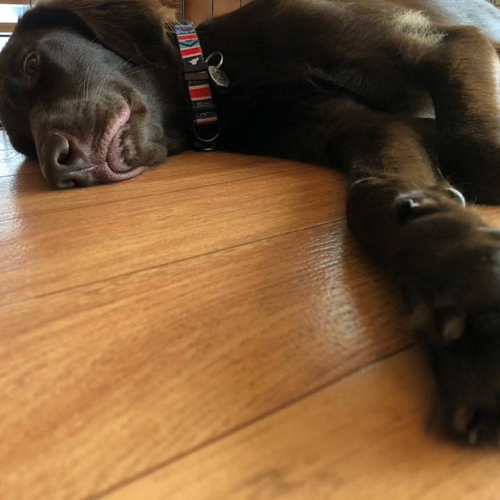 C36c6483 a8ac 4b49 8ed2 c576038cbd9b 1571712957337