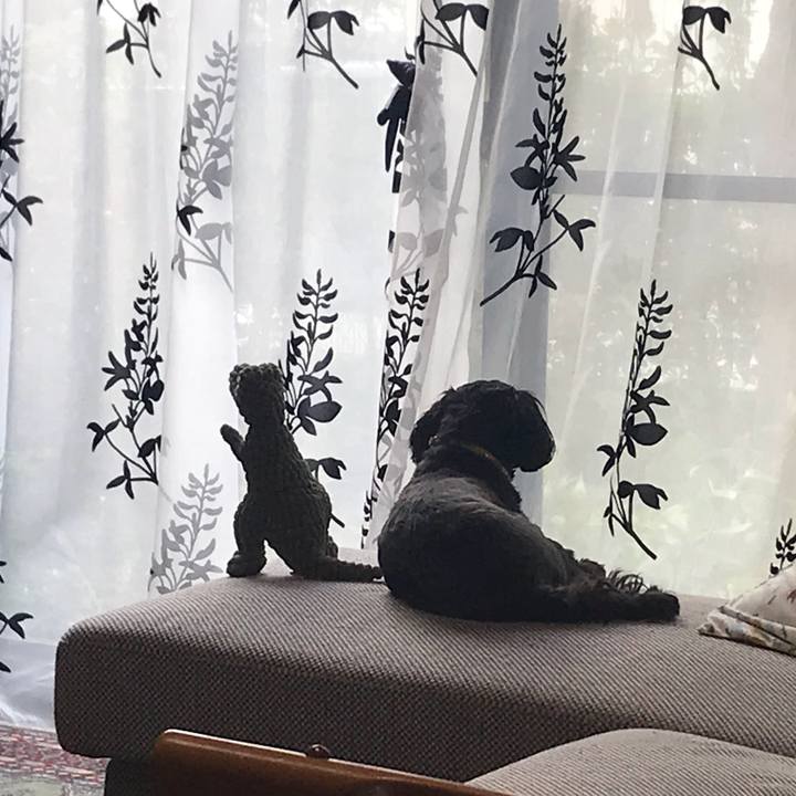 C36cfe2c 5993 4a17 8082 3e33cad06660 1537268998968