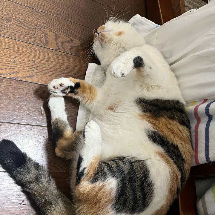 C36d2bc4 b56e 4025 942a 0844f6fbadc6 1771677431384