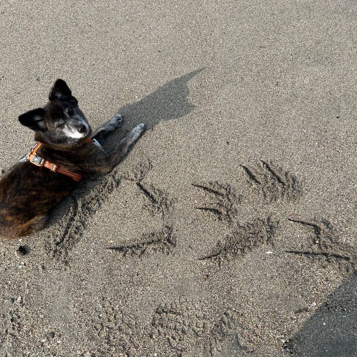 C36dabcd 897a 4ce0 8ac0 1a13735964e7 1711832255266