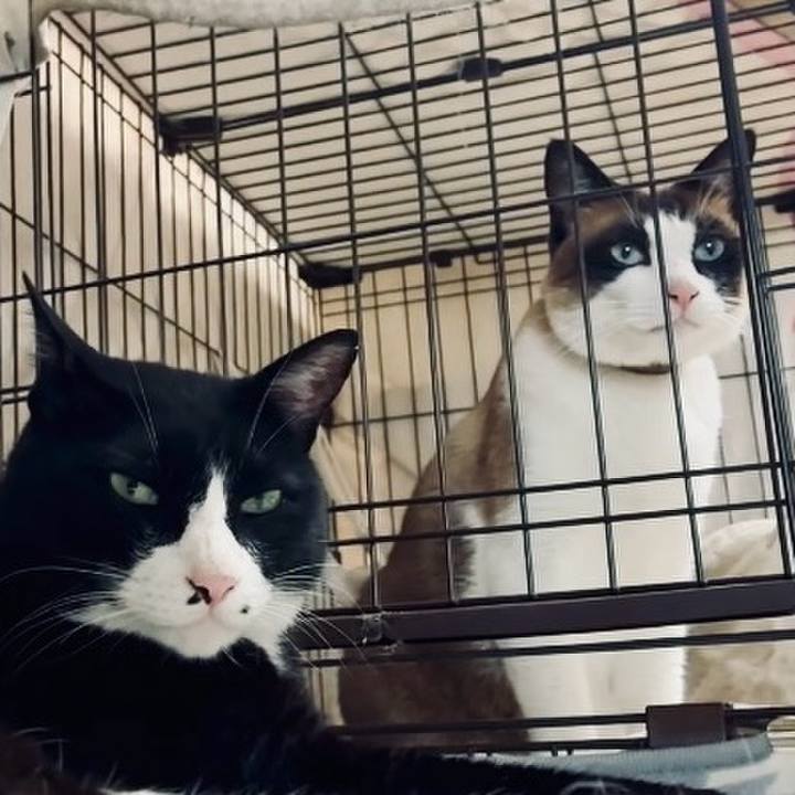 C36dae18 336b 464b b365 43a8f9b5b6cc 1751544545473