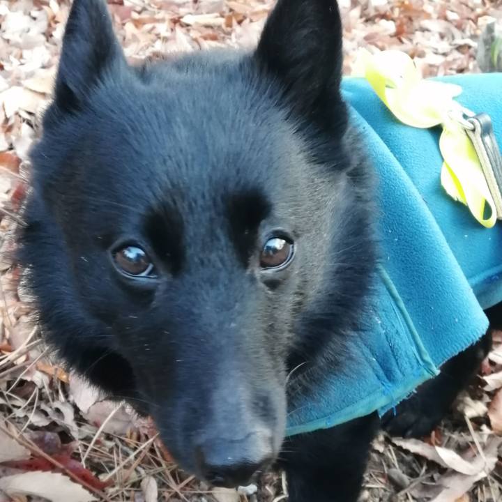 C36db481 80d6 4cd3 ad6c f0218144803e 1644358494973