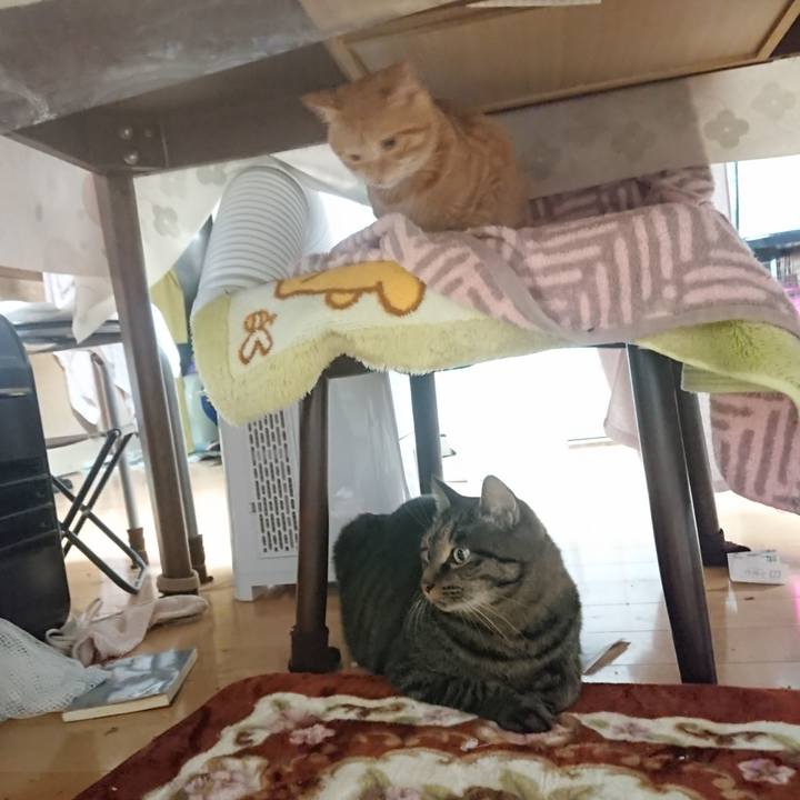 C36dc1b7 3f3b 4390 a57c d3ef96cd3174 1636803078277