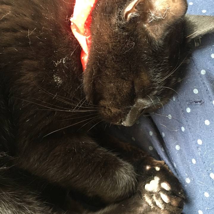 C36de215 1780 4b9f 994b b55dca824f03 1535855988024