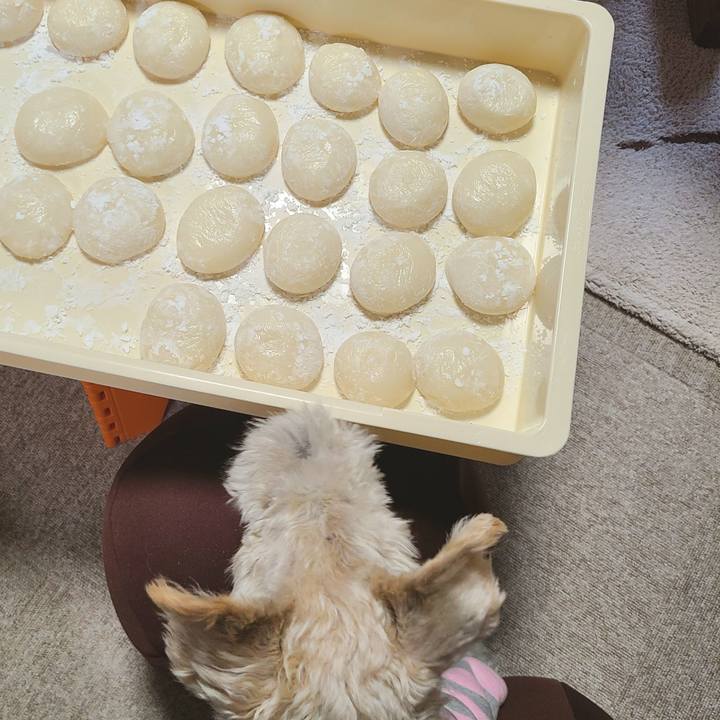 C36df31e 1361 467d 935f c681e1edf95a 1703823300045