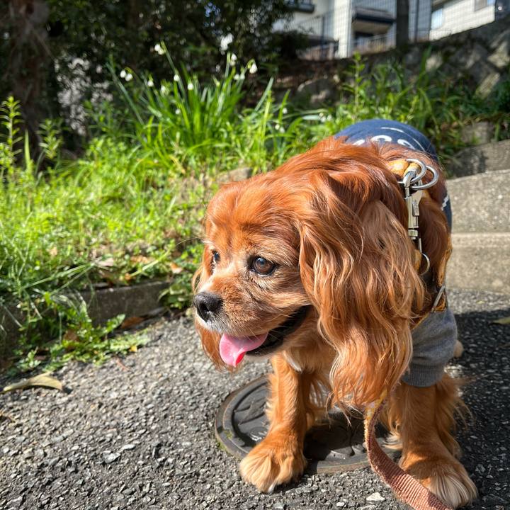 C36e0361 1516 48ef a593 d0f44ea6a9b5 1711757884828