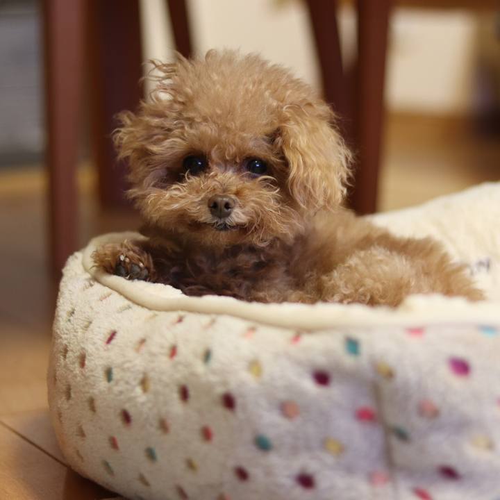 C36e1799 3a85 4e18 88d2 b80ccbf142dd 1556331033612