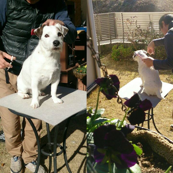 C36e2bf7 070e 4e69 bb41 26b4f57d7549 1515109267867