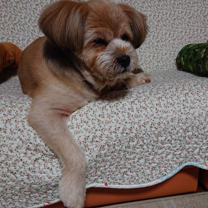 C36e4589 973f 4dd8 8d33 4db487df9ded 1594899012715